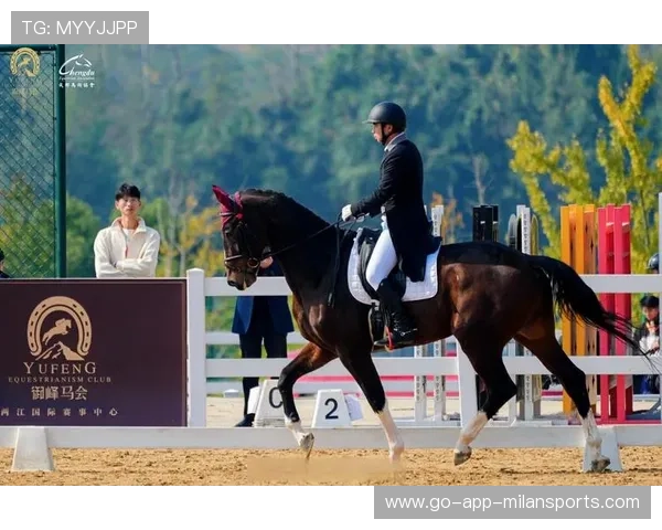 马术国际赛事2025-2026展望